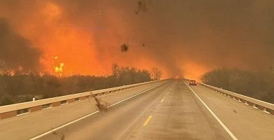 Пожар в Аттике нанес значительный ущерб: пострадало более 1200 зданий