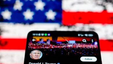 Маск устроил «выборы» в соцсети X: Трамп уверенно лидирует над Харрис