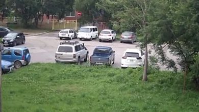 Землетрясение магнитудой 7,0 произошло на Камчатке, толчки силой до 6 баллов