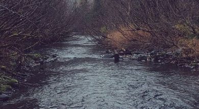 Реки на Камчатке готовятся к подъему уровней воды
