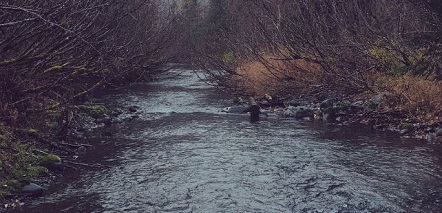 Реки на Камчатке готовятся к подъему уровней воды