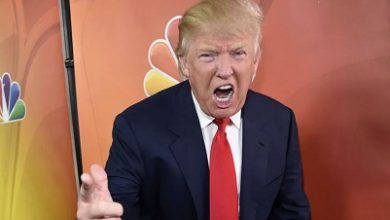 Триумфальное возвращение: как мир отреагировал на победу Трампа
