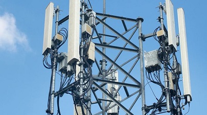 Влияние 5G на мозг крыс: результаты эксперимента