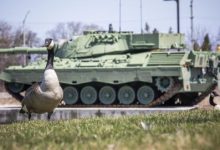 Канадские военные получили инструкцию: как вести себя при встрече с гусём
