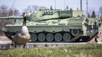 Канадские военные получили инструкцию: как вести себя при встрече с гусём