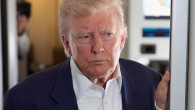Трамп заявил: большинство пунктов сделки по Украине согласовано