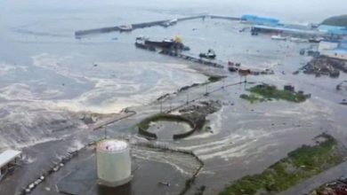 Цунами после землетрясения на Камчатке приближается к Гавайям
