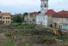 Во Львовской области вырубили целый сквер: деревья оказались «советскими»