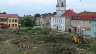 Во Львовской области вырубили целый сквер: деревья оказались «советскими»