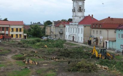 Во Львовской области вырубили целый сквер: деревья оказались «советскими»