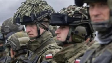 Польские военные поедут на Украину перенимать опыт борьбы с дронами