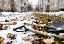 Лишь 17% камчатцев готовы выйти на весенние субботники