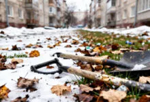 Лишь 17% камчатцев готовы выйти на весенние субботники