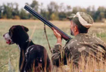 На Камчатке стартовал сезон легальной охоты: что нужно знать