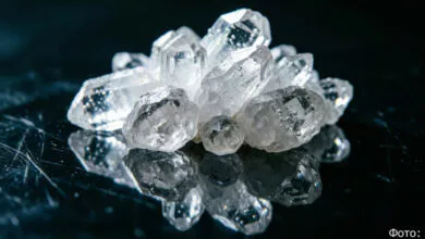 В Петропавловске-Камчатском изъяли 380 граммов синтетики