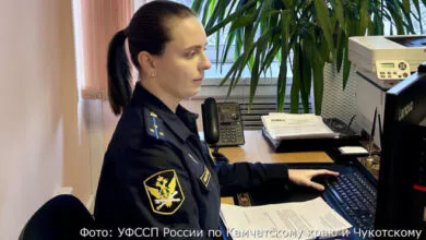 Цена одной приставки: бизнесмен из Вилючинска потерял 280 тысяч